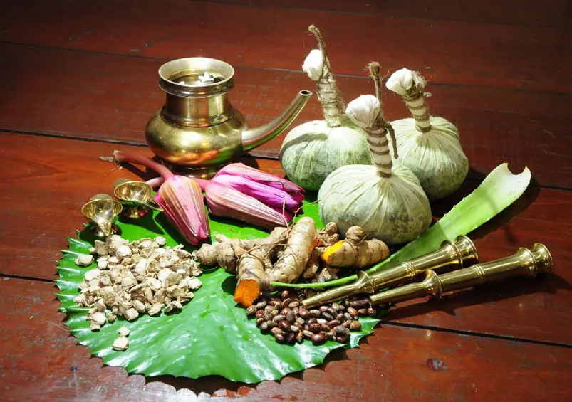 Ayurveda Travel Experiences
