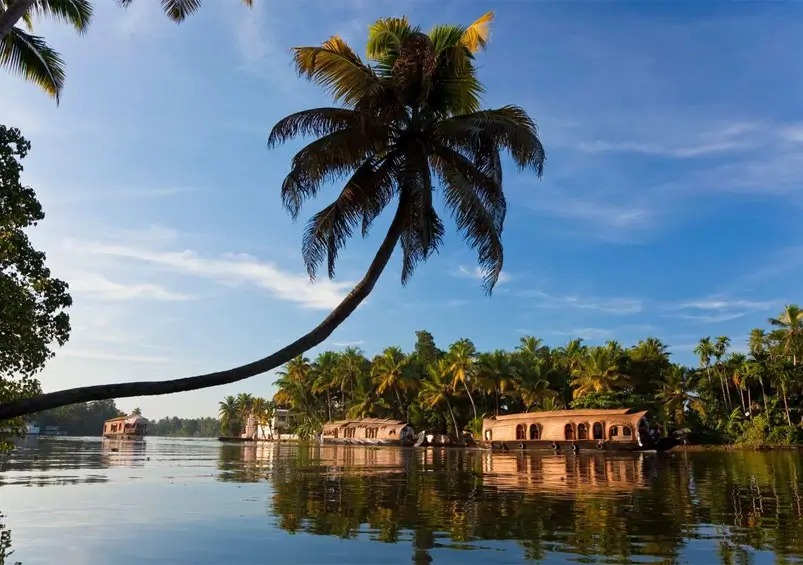Kerala Backwaters Travel Guide for Alleppey