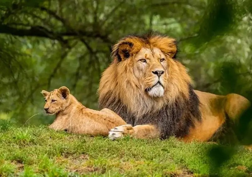 best-national-parks-in-india