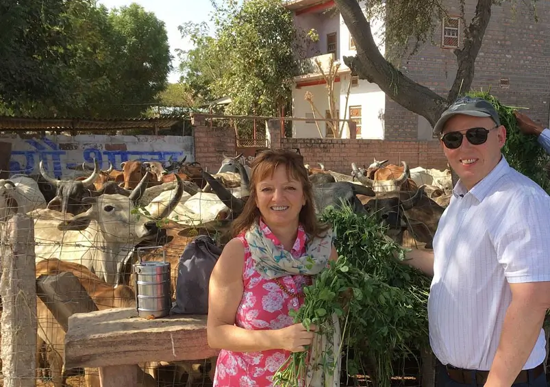 Best North India Honeymoon Tour With Private Car And Driver