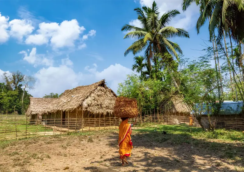 Experiencing Local Life in India