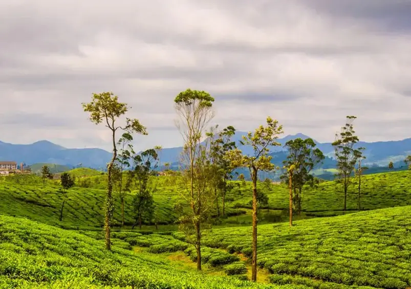 How Much Time Do You Need to Explore India Properly?