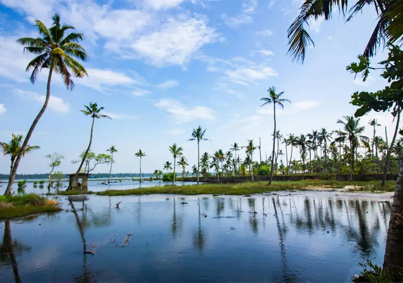 Family-Friendly Kerala Tour Guide for Safe Travel