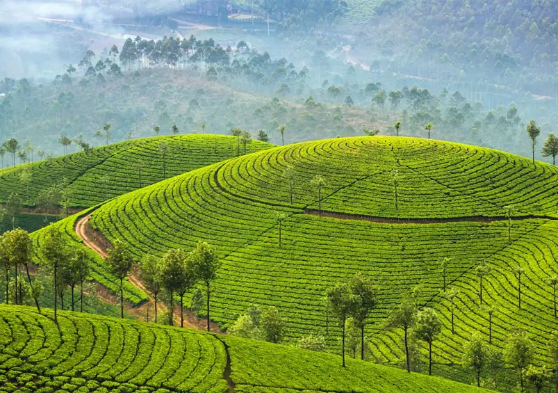 Best Places to Visit in South India