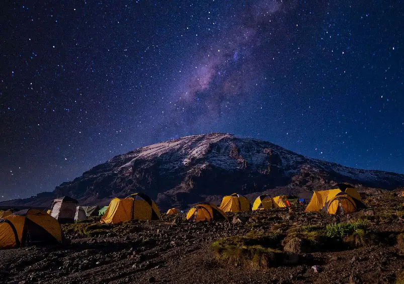 Noctourism in India – Night Safaris, Stargazing & Moonlit Heritage Walks