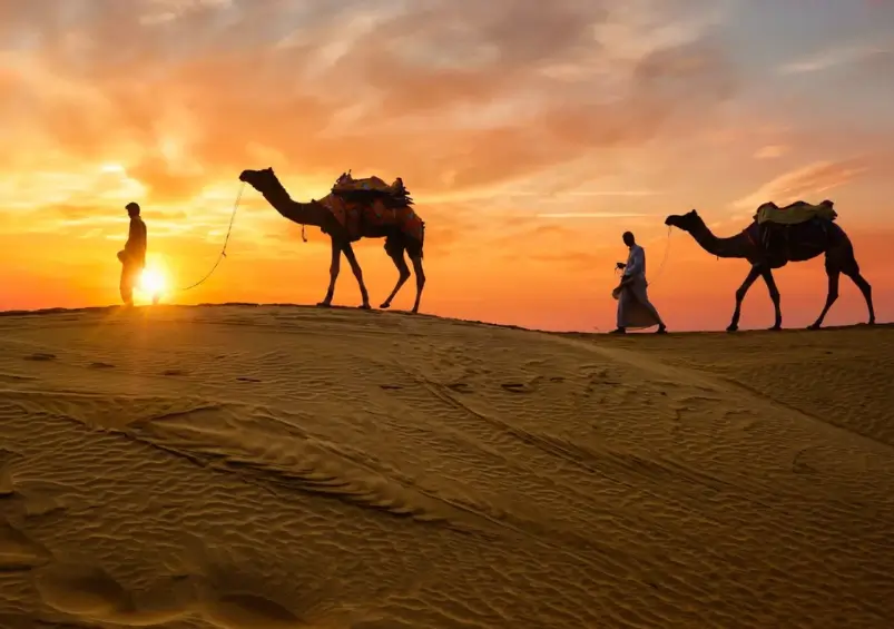 Rajasthan Tour from France