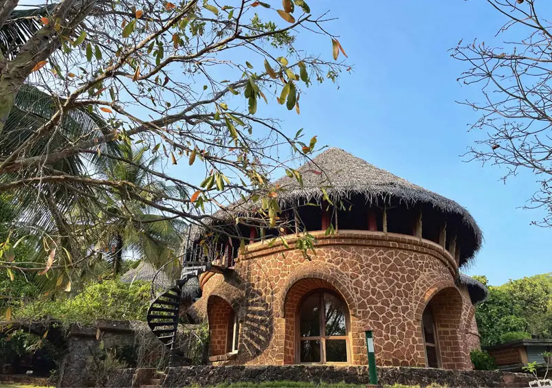 Reconnecting Mind, Body & Soul