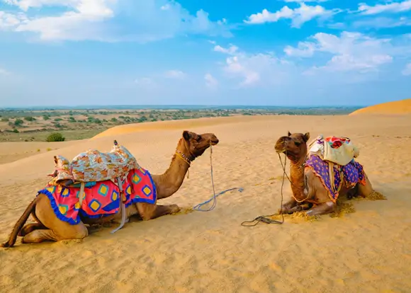 Rajasthan Tour Packages