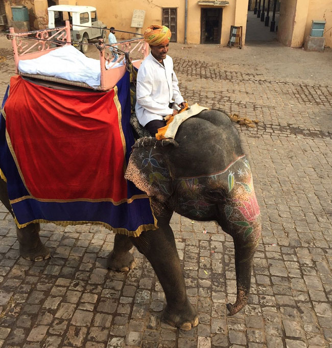 Golden Triangle Tour for LGBT Community – Inclusive, Safe & Culturally Rich Delhi, Agra & Jaipur Journey