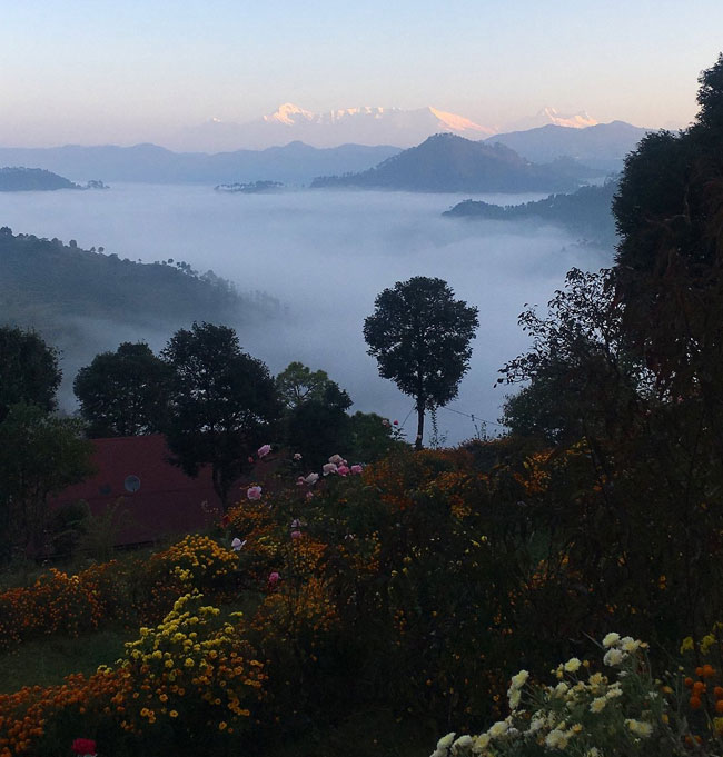 Golden Triangle Tour With South India – Delhi, Agra, Jaipur, Kochi, Munnar & Alleppey