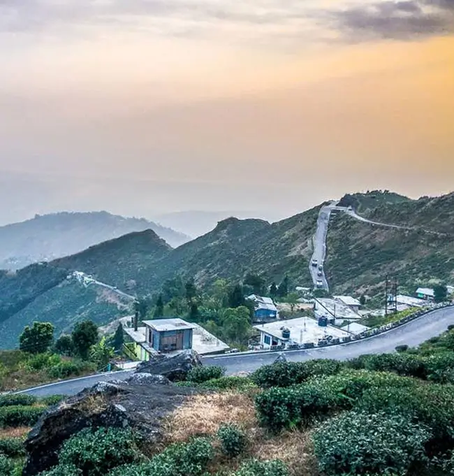 India's Northeast: Tea Fields, Rhinos And River Cruise