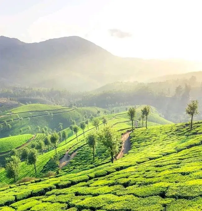 nilgiri-hills-premium-experience-tour