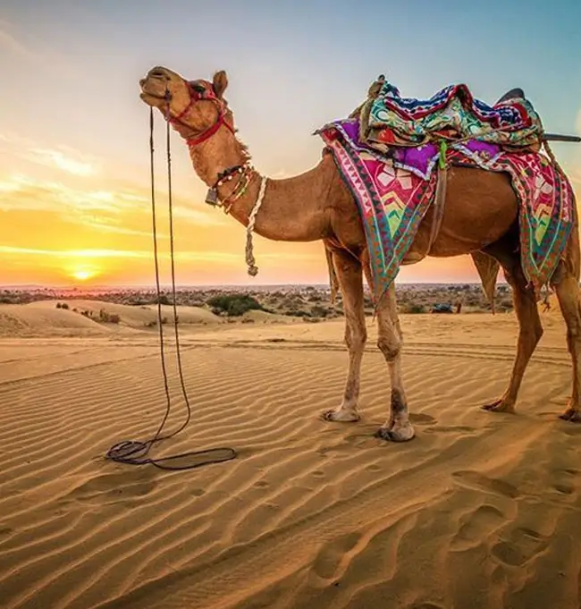 Rajasthan Slow Travel Experience Heritage Stays