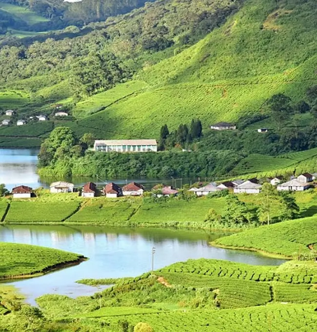 Scenic Kerala and Karnataka Nature Tour