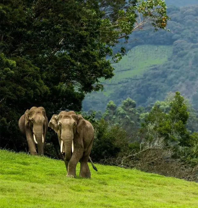 south-india-solo-female-traveler-friendly-tour