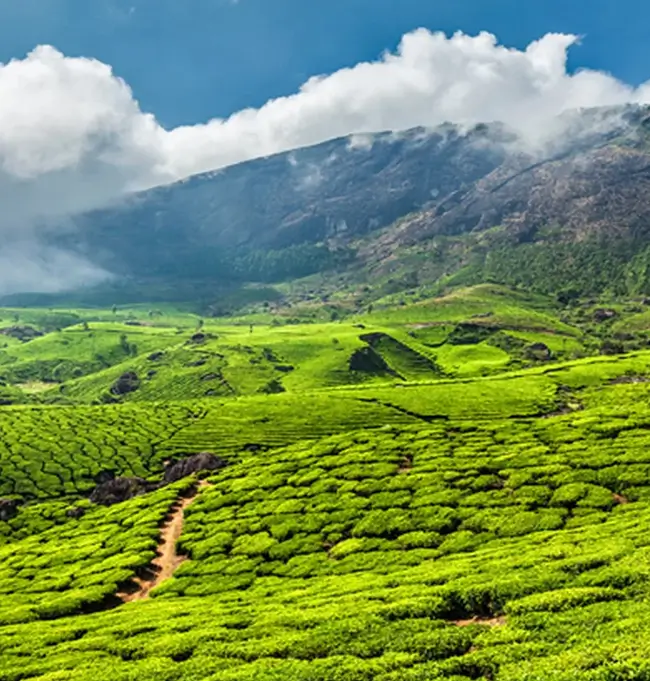 Golden Triangle Tour with South India
