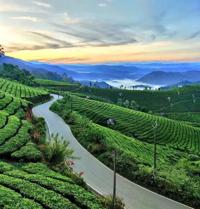 western-ghats-luxury-nature-and-coffee-trails