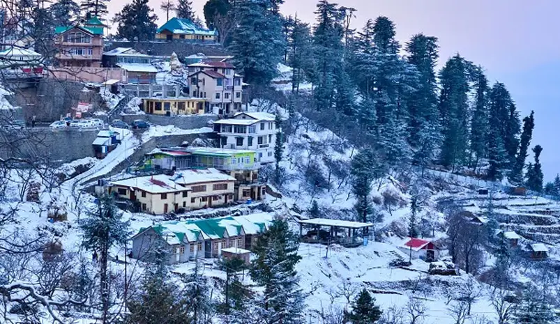 Shimla