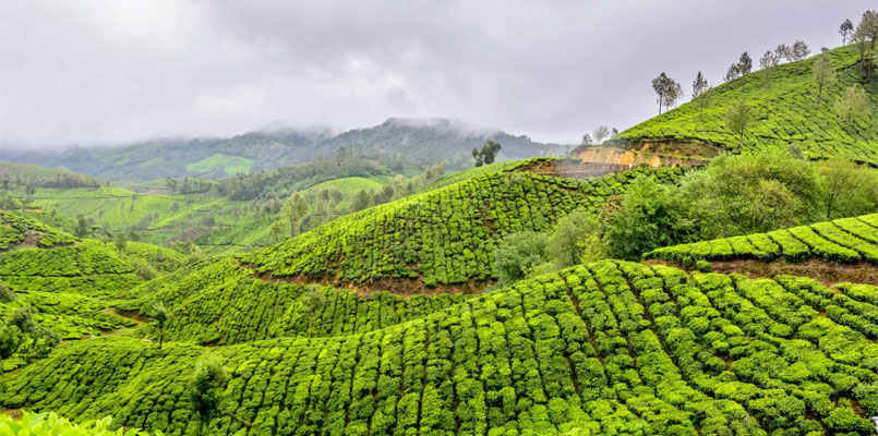 Munnar