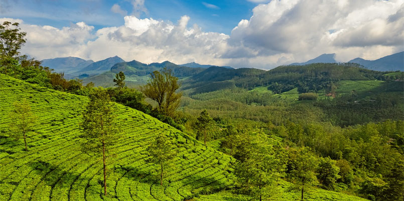 Munnar