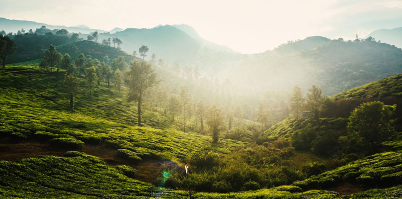 Wayanad