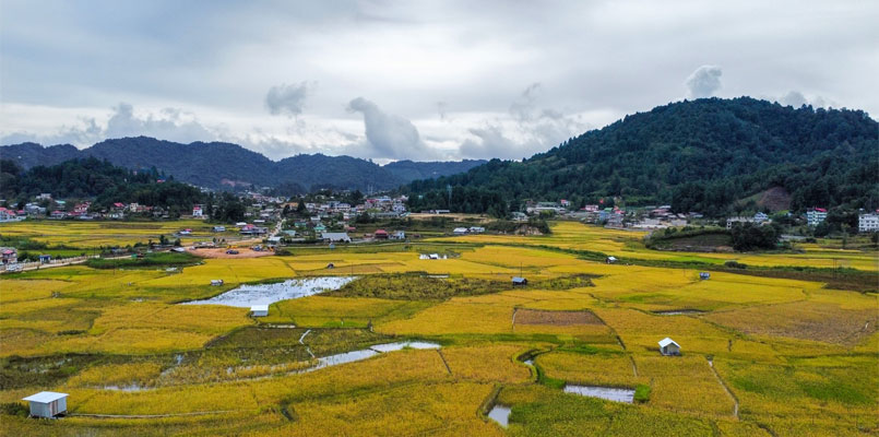 Ziro Valley