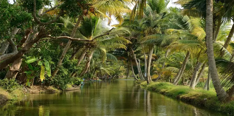 kerala-backwaters-a-unique-travel-experience
