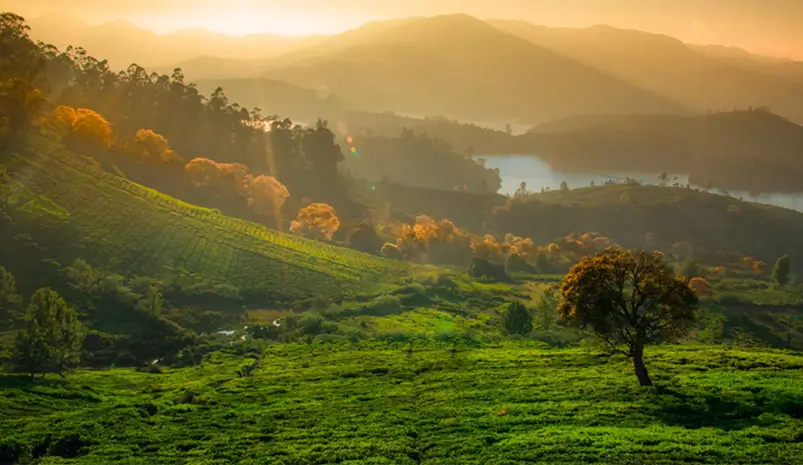 ooty-sunset