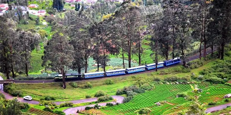 ooty-the-queen-of-the-nilgiris