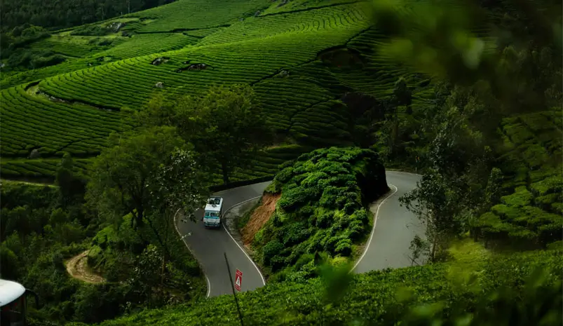 wayanad